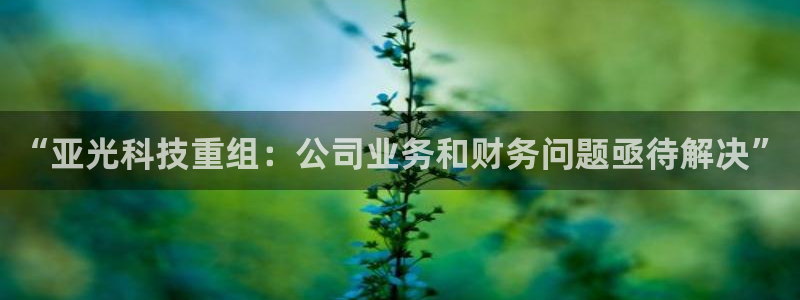“亚光科技重组：公司业务和财务问题亟待解决”