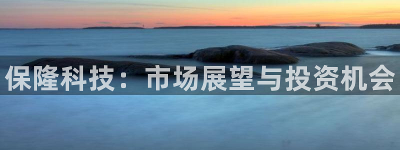 保隆科技：市场展望与投资机会